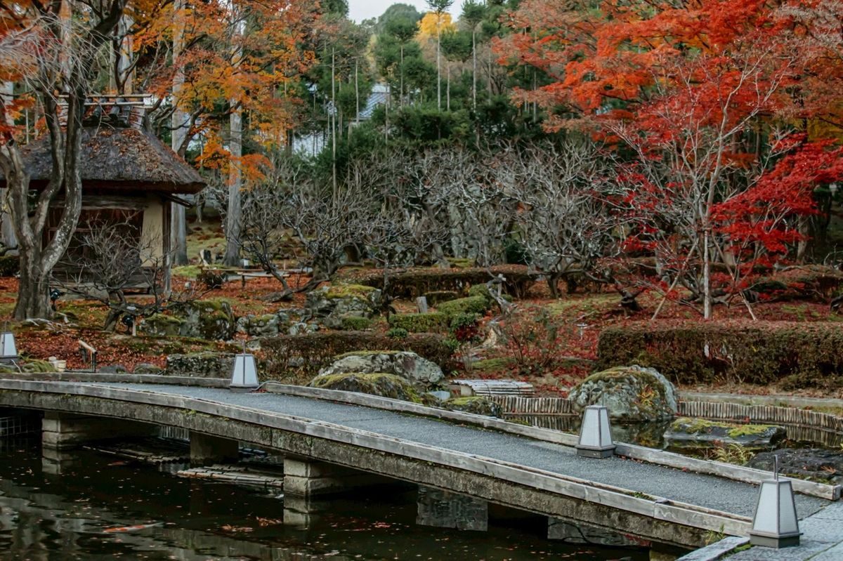 Stone bridge over the pond