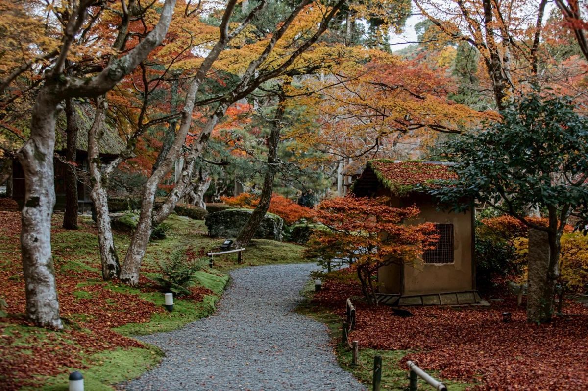 Autumn garden path